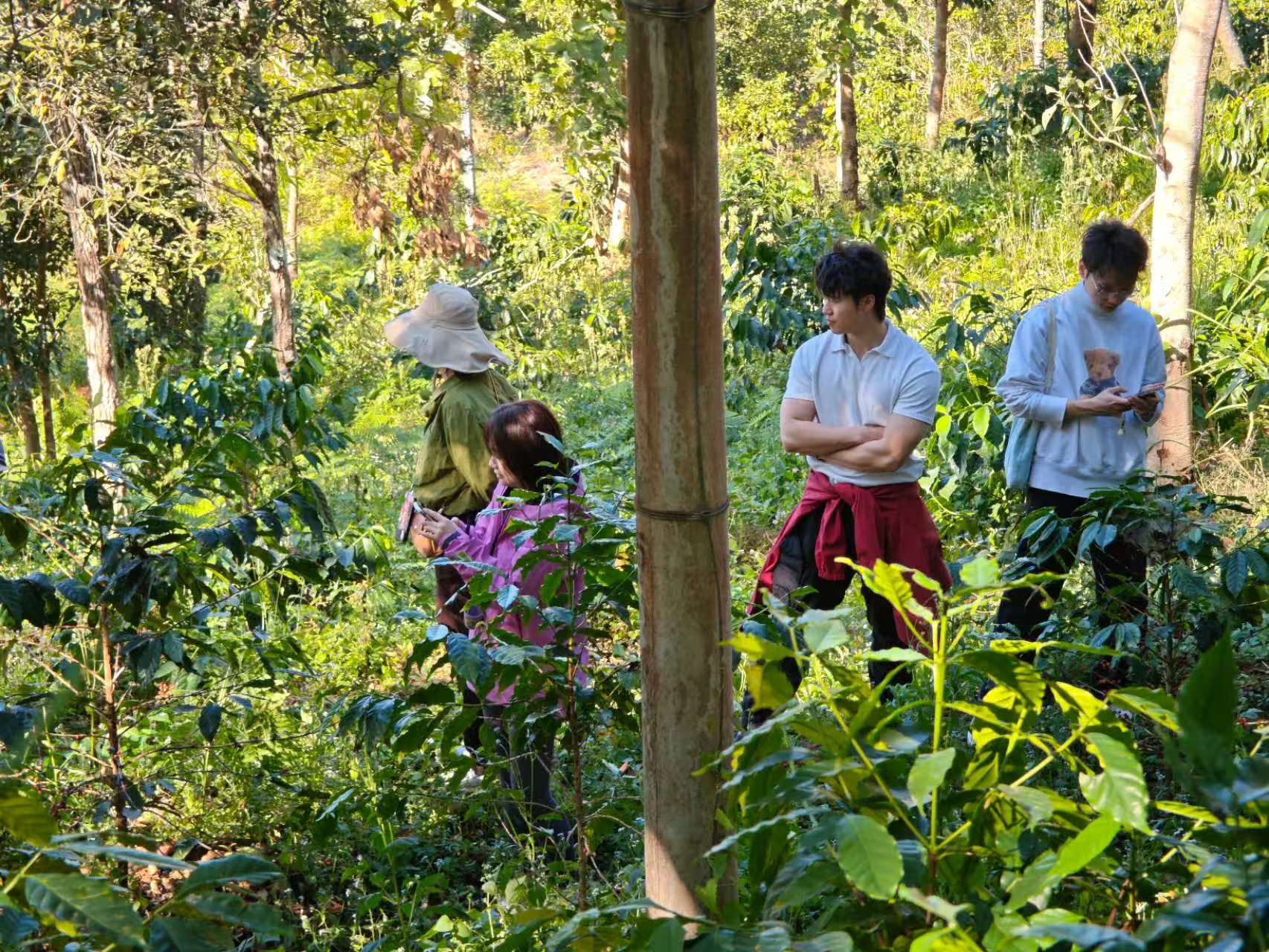 SCA Green Coffee Intermediate training