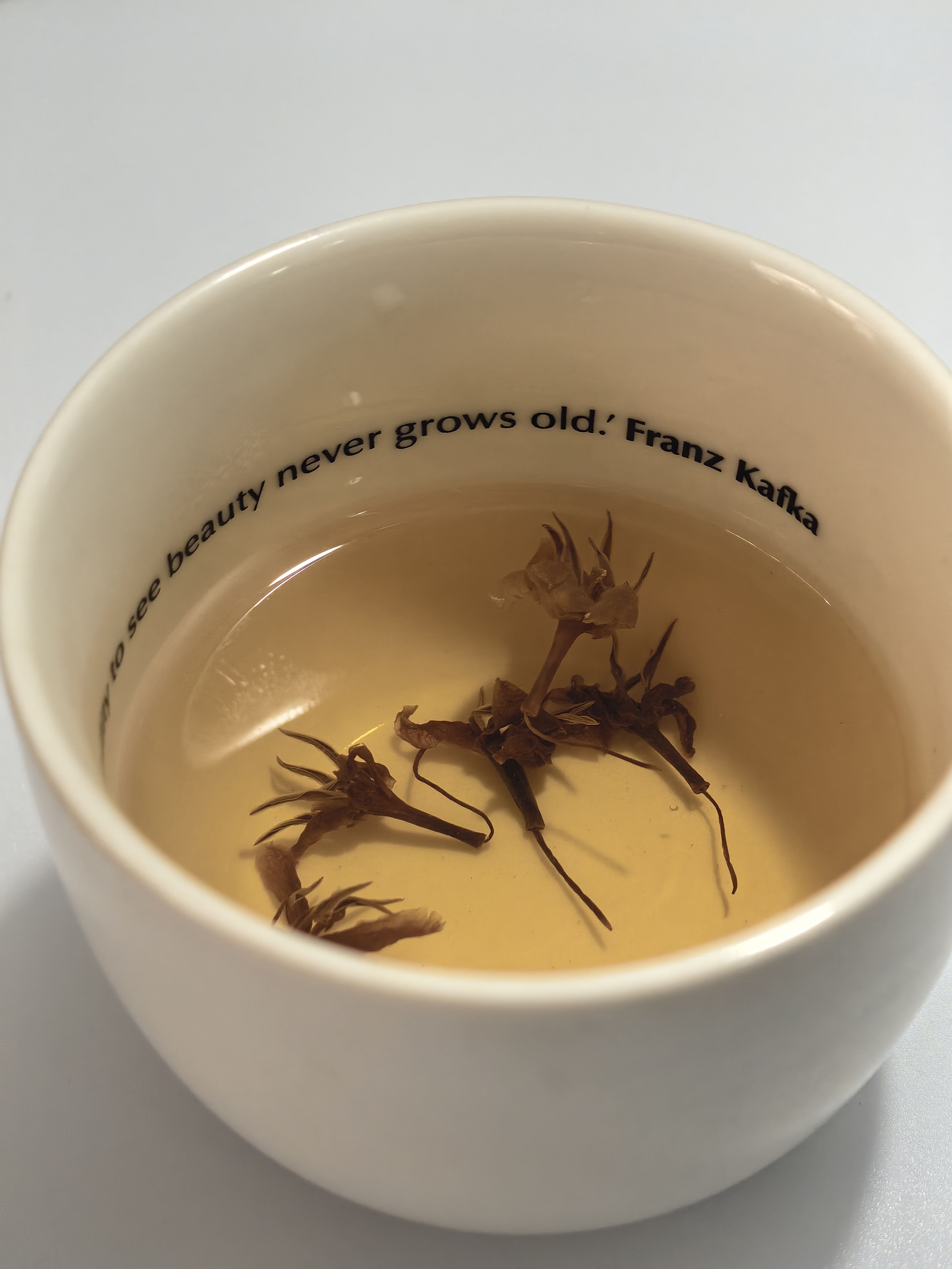 Coffee flower tea preparation